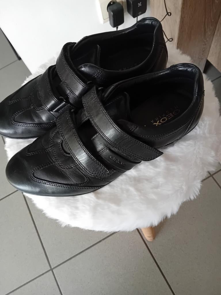 Chaussure homme  la marque geox
