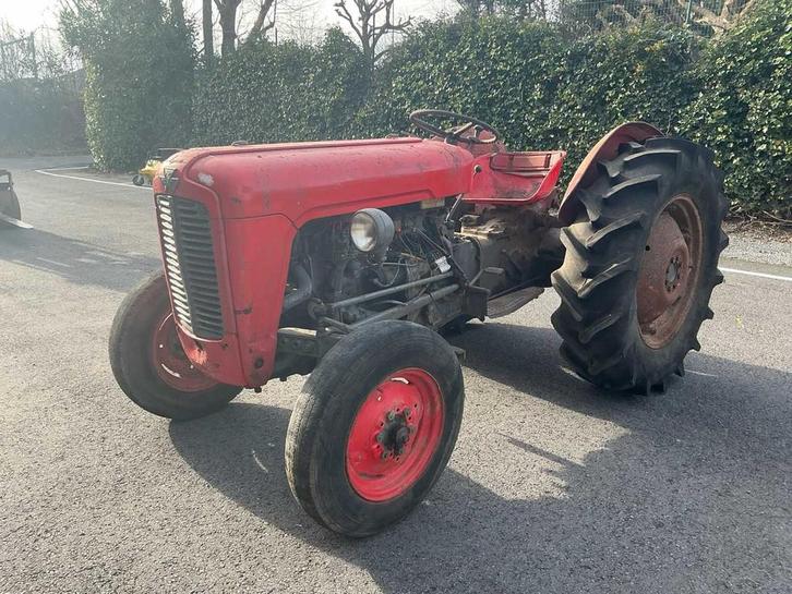 Massey Ferguson - 35 - Vintage Tractor - 1956, Zakelijke goederen, Landbouw | Tractoren, Massey Ferguson, Oldtimer
