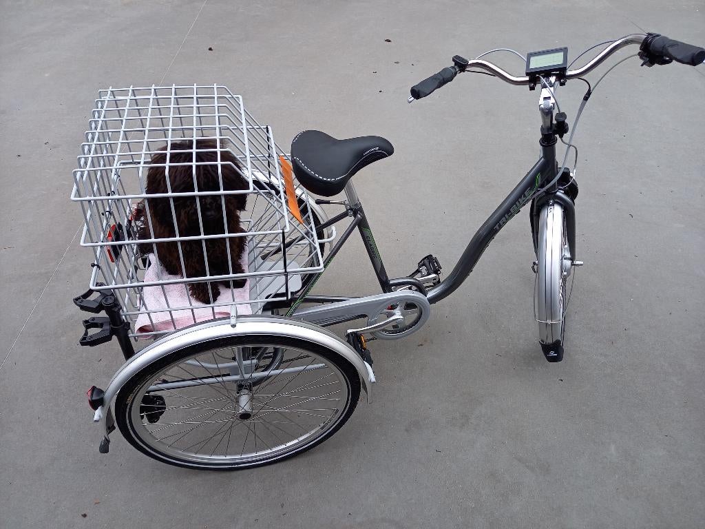 Electrische driewieler, Ophalen, Gebruikt