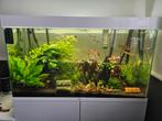 Ciano aquarium 200 liter, Animaux & Accessoires, Comme neuf, Enlèvement
