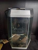 6hoekig aquarium, Enlèvement, Comme neuf