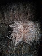 Kleine balen stro, Dieren en Toebehoren, Ophalen