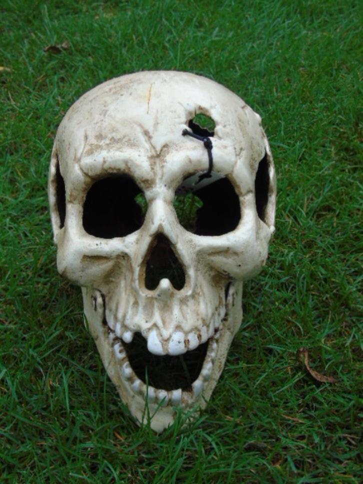 Roestige witte gietijzeren menselijke schedel.., Tuin en Terras, Overige Tuin en Terras, Nieuw, Ophalen