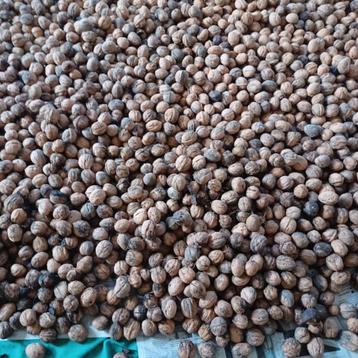 okkernoten beschikbaar voor biedingen