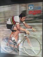 wielerposter 1974 team molteni  wk  eddy merckx, Verzenden, Zo goed als nieuw