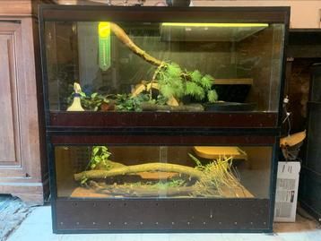 Terarium avec serpents, Enlèvement