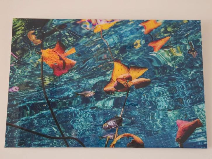 Prachtige recente Photography Art Limited Edition, Antiek en Kunst, Kunst | Schilderijen | Modern, Ophalen of Verzenden