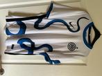 Voetbalshirt Inter Milan, Sports & Fitness, Football, Comme neuf, Maillot, Enlèvement, Taille L