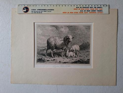 Fraaie ets Eugène Verboeckhoven Schaapje met twee lammetjes, Antiek en Kunst, Kunst | Etsen en Gravures, Ophalen of Verzenden