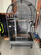 Papegaaien kooi splinternieuw, Dieren en Toebehoren