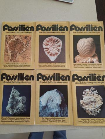 fossilien tijdschrift duits beschikbaar voor biedingen