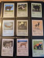 Life tcg, 75 kaarten: volledige set common/uncommon, Ophalen of Verzenden, Zo goed als nieuw