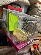 Complete set voor een hamster, hamsterkooi, Ophalen, Zo goed als nieuw, Hok, Hamster