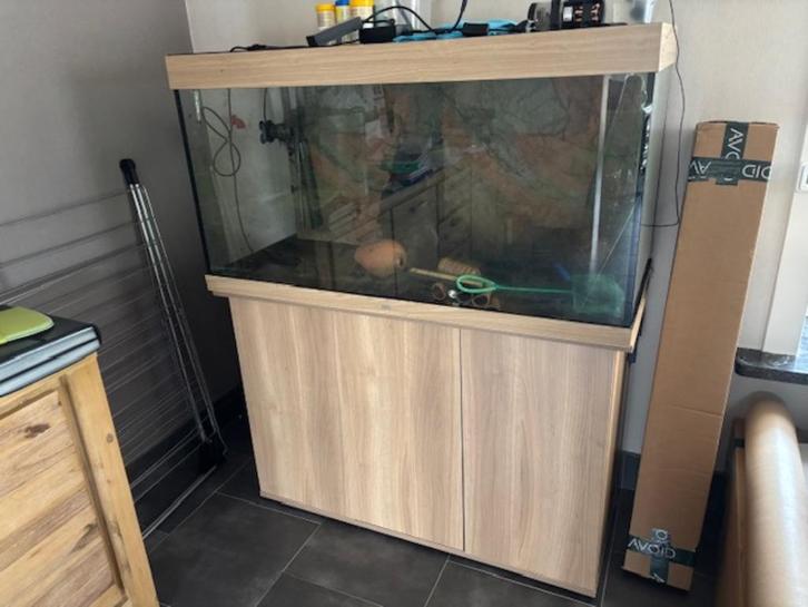 juwel rio 300, Dieren en Toebehoren, Vissen | Aquaria en Toebehoren, Gebruikt, Leeg aquarium, Ophalen