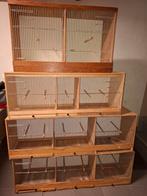 Kweekkooien, Dieren en Toebehoren, Vogels | Hokken en Kooien, Ophalen
