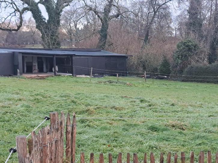 Pre + boxen voor gepensioneerde paarden onder toezicht van N, Dieren en Toebehoren, Stalling en Weidegang