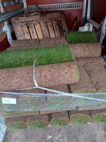 Natuursportgras  beschikbaar voor biedingen