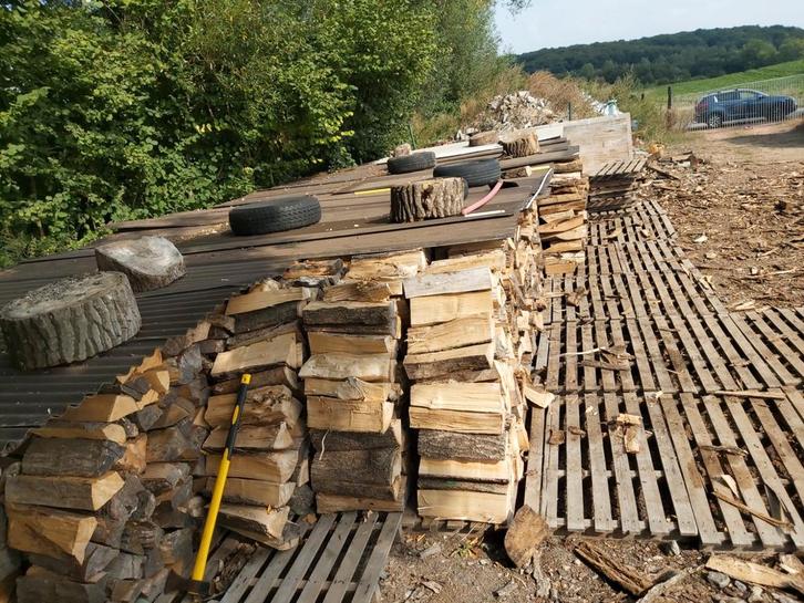 Droog brandhout, Tuin en Terras, Terrasdelen en Vlonders, Nieuw, Hout, Ophalen of Verzenden