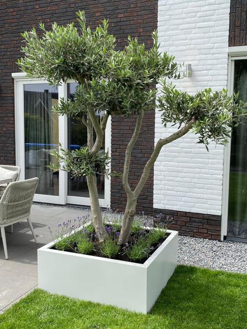 Grote plantenbak voor buiten 100x100x40 Wit, Tuin en Terras, Bloembakken en Plantenbakken, Nieuw, Metaal, Binnen, Balkon, Tuin