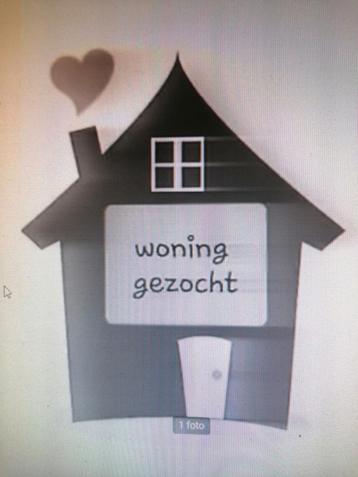 Te Huur Gevraagd Gezocht Huisje Garage Kinrooi Maaseik, Immo