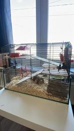 Hamsterkooi, Dieren en Toebehoren, Ophalen, Zo goed als nieuw, Kooi, Hamster