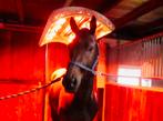 Solarium, Paardensolarium met ventilator en lift (8 lampen), Ophalen of Verzenden