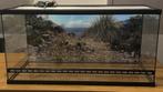 Terrarium met achtergrond 100x50x50, Dieren en Toebehoren, Ophalen, Nieuw, Terrarium of Paludarium