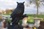 SUPERBE HIBOU EN BRONZE SIGNE SUR SOCLE ., Enlèvement ou Envoi, Bronze