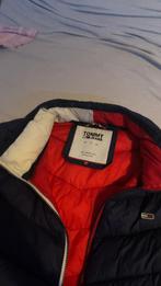 Tommy hilfiger jas, Porté, Tommy hilfiger, Taille 46 (S) ou plus petite, Autres couleurs