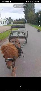 2 zit te koop, Dieren en Toebehoren, Rijtuigen en Koetsen, Gebruikt, Sulky, Pony