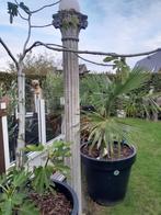tuin decoratie, Tuin en Terras, Tuinwanddecoratie, Ophalen, Gebruikt