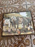 Paarden foto, Verzamelen, Foto's en Prenten, Ophalen