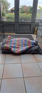 Hondenbench, Dieren en Toebehoren, Ophalen, Gebruikt