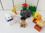 duplo 4962 kleine zoo dieren, Kinderen en Baby's, Speelgoed | Duplo en Lego, Duplo, Gebruikt, Ophalen of Verzenden