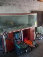 aqarium, Dieren en Toebehoren, Vissen | Aquaria en Toebehoren, Ophalen, Gebruikt, Leeg aquarium
