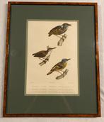 Handgekleurde litho P. Bertrand 1856, Ophalen