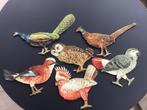 Edition Tuck / Oiseaux Articulés / Série 8 / 1900, Antiek en Kunst, Ophalen of Verzenden