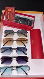 Cartier brillen 1/1, Overige kleuren, Zo goed als nieuw, Bril, Ophalen