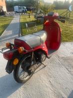 Honda Scoopy, Vélos & Vélomoteurs, Cyclomoteurs | Honda, Enlèvement