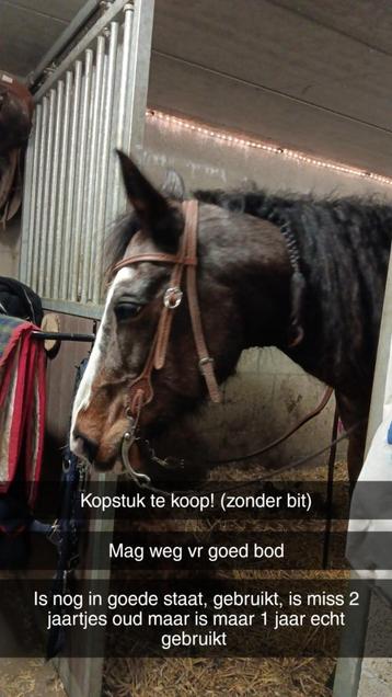 Hoofdstellen te koop beschikbaar voor biedingen