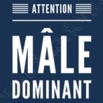 pour homme dominant, organidé, décideur  pour gérer ma vie!, Offres d'emploi, Profils | Homme/Femme cherche du travail