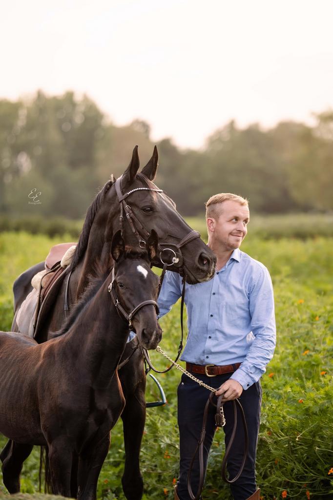 Merrie van 2013, Dieren en Toebehoren, Paarden, Merrie, Zadelmak
