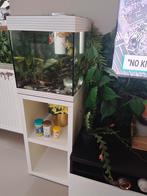 aquarium met filter, licht en meubel, Dieren en Toebehoren, Ophalen, Zo goed als nieuw