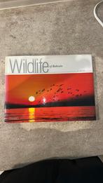 Wildlife of Bahrein, Ophalen of Verzenden, Zo goed als nieuw