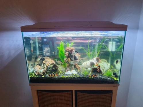 Juwel Rio 125 LED Aquarium - wit - 125L - 80 x 35 x 50 cm, Dieren en Toebehoren, Vissen | Aquaria en Toebehoren, Zo goed als nieuw