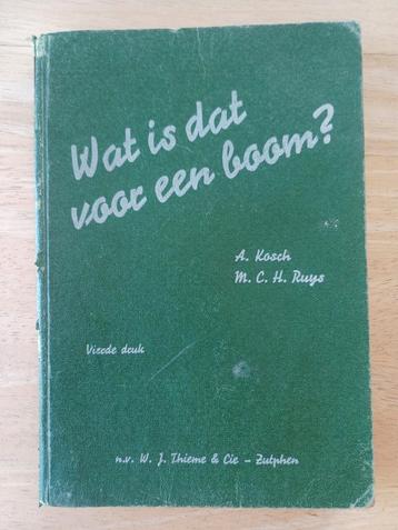 Wat is dat voor een boom. Kitsch en Ruys beschikbaar voor biedingen