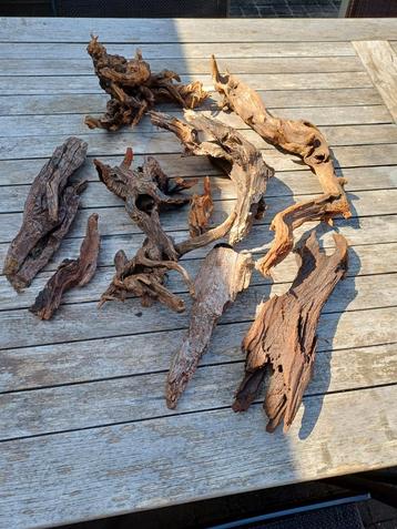 Driftwood aquarium  beschikbaar voor biedingen