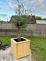 Houten planten/bloembak, Tuin en Terras, Ophalen of Verzenden, Zo goed als nieuw, Hout, Tuin