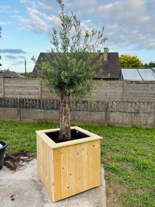 Houten planten/bloembak, Tuin en Terras, Bloembakken en Plantenbakken, Zo goed als nieuw, Hout, Tuin, Ophalen of Verzenden