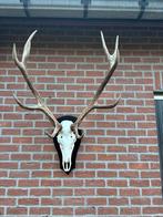 decoratief hertegewei, Ophalen, Nieuw zonder verpakking, Decoratie